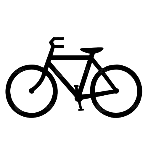 Bike With Kit 250W